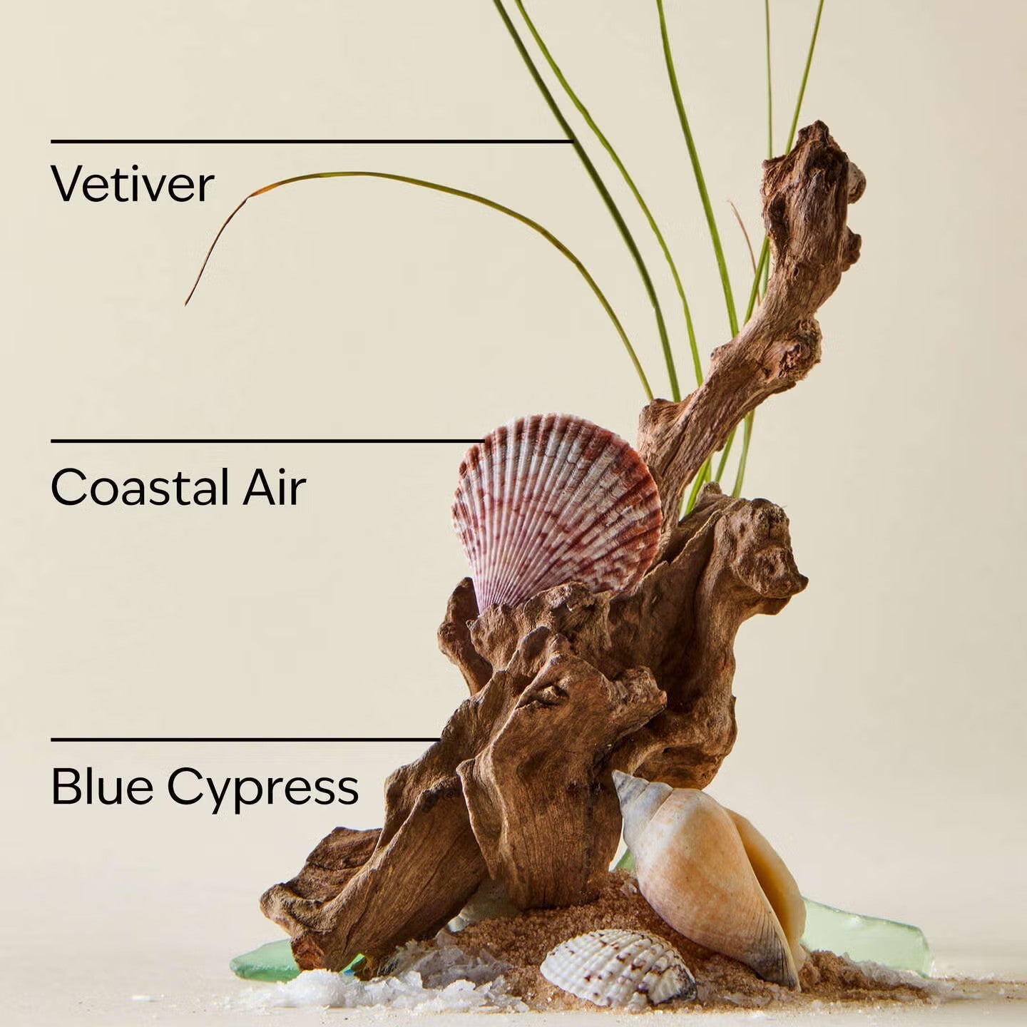Ocean Car Fragrance Refill