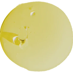 Royal Jelly + Vitamin E Serum