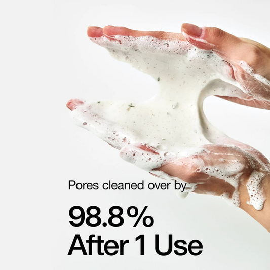 Heartleaf Quercetinol Pore Deep Cleansing Foam