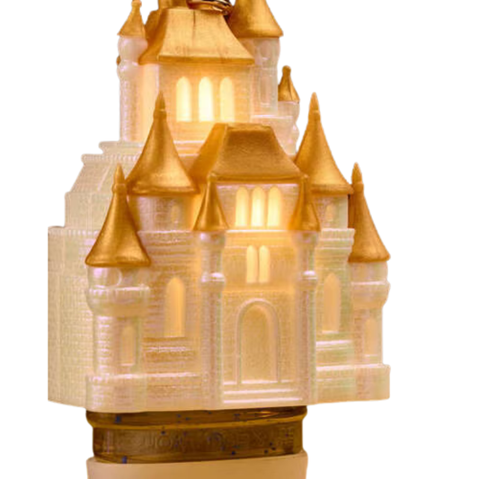 Disney Princess Light-Up Castle PocketBac Holder