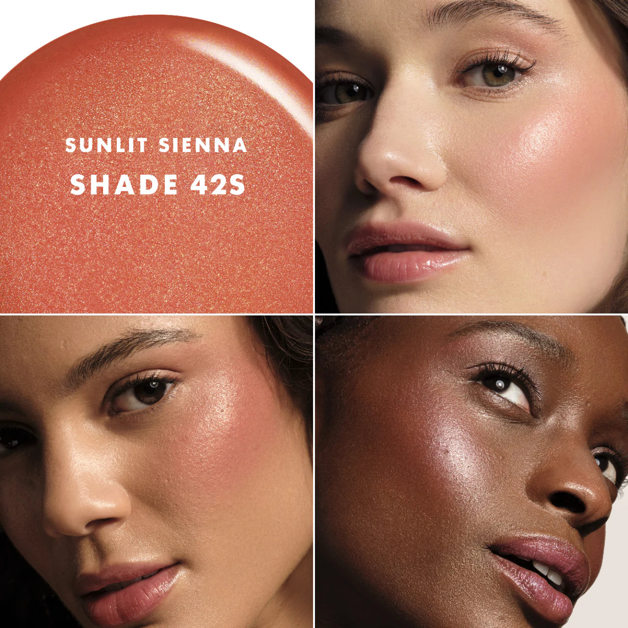 Luminous Silk Cheek Tint Blush | PREVENTA