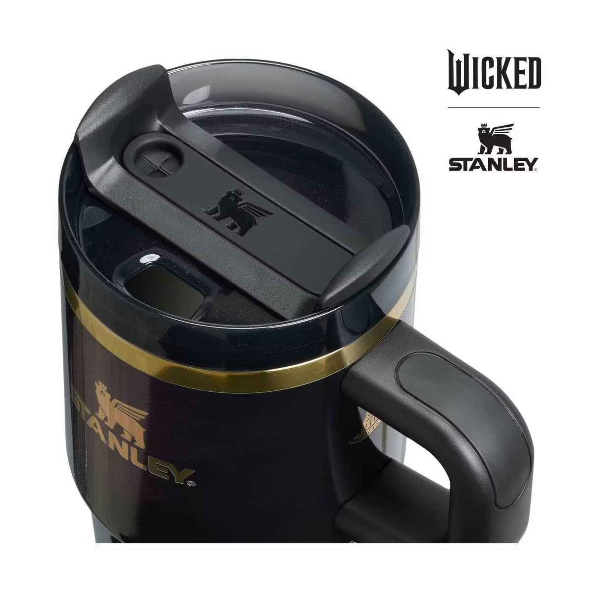 Stanley 20oz H2.0 Flowstate Tumbler - Elphaba For Good | PREVENTA