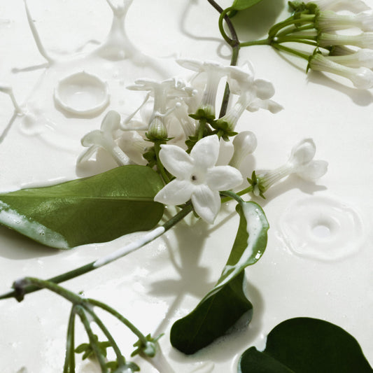 Heavy Cream Hair & Body Mist | PREVENTA