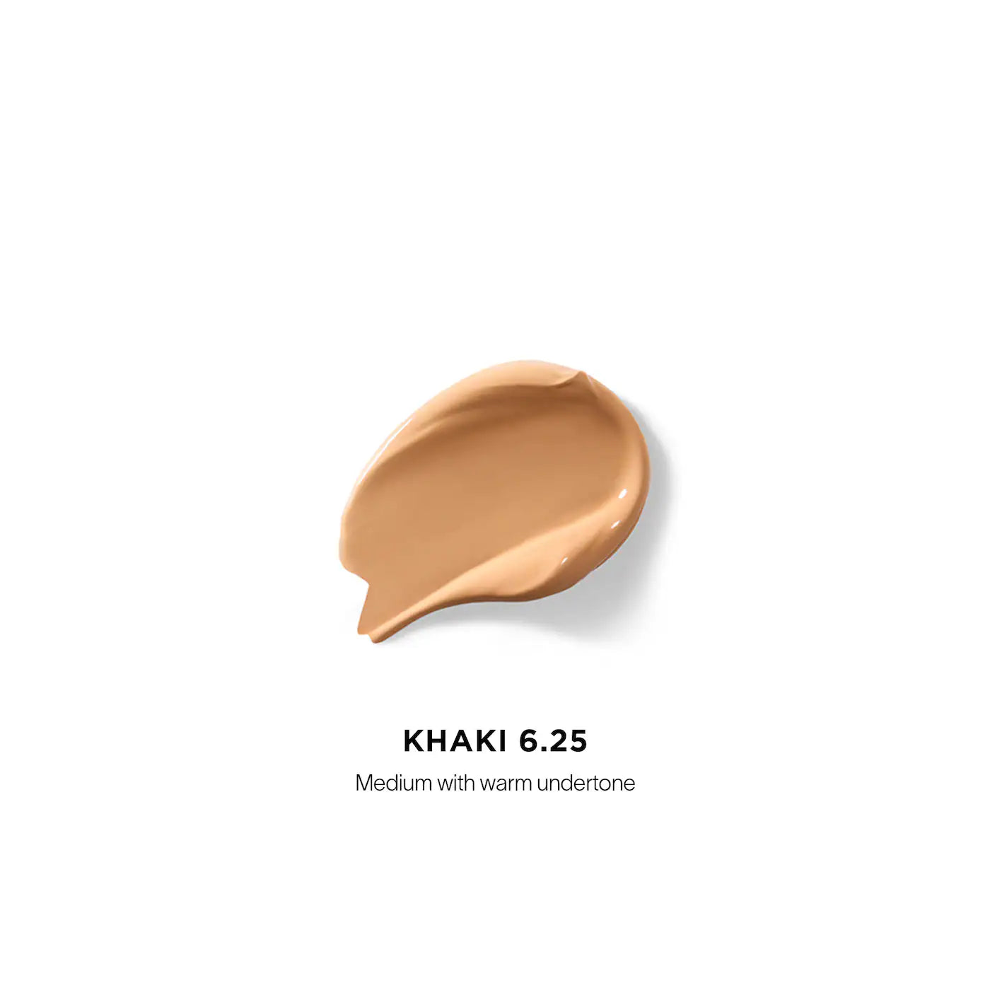 Vanish™ Airbrush Concealer | PREVENTA