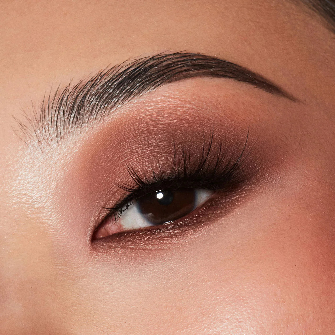 Major Dimension III Matte Eyeshadow Palette | PREVENTA