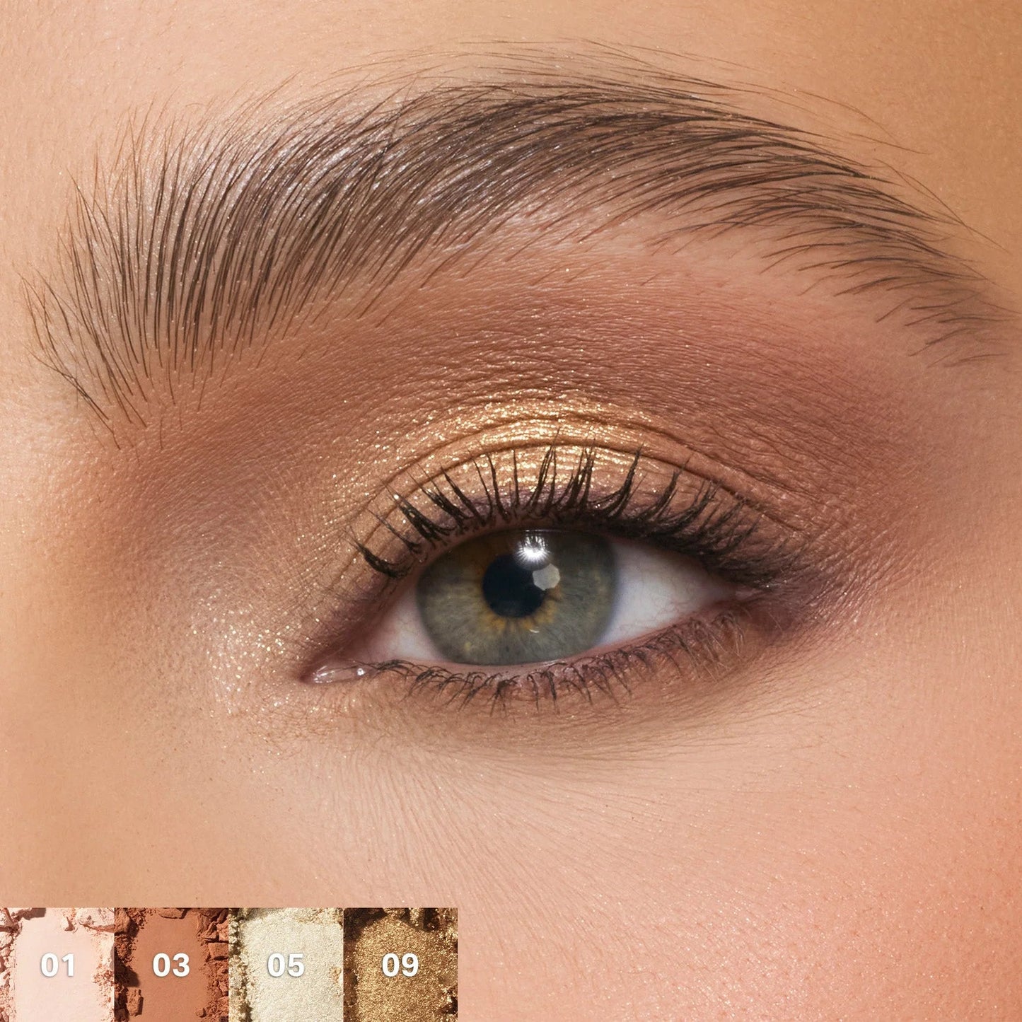 Flickering Sands ChromaPlus Palette