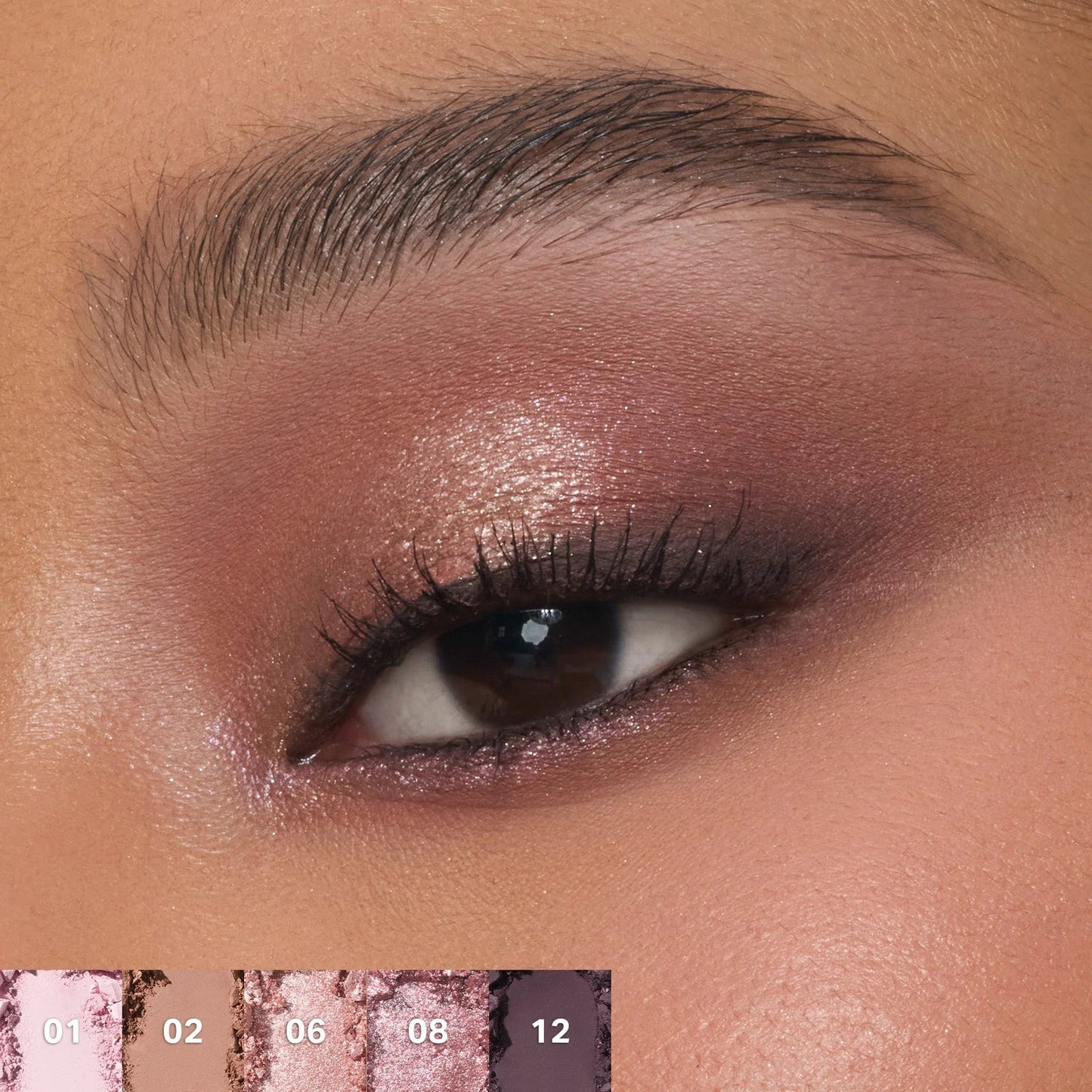 Rose Frequency ChromaPlus Palette