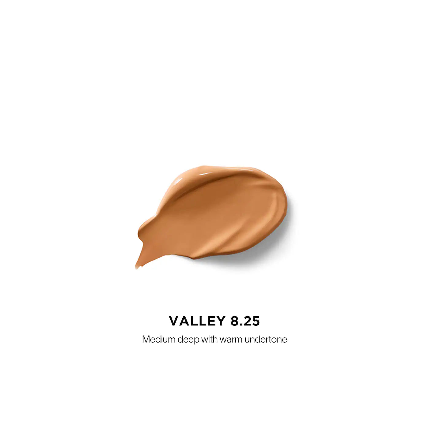 Vanish™ Airbrush Concealer | PREVENTA