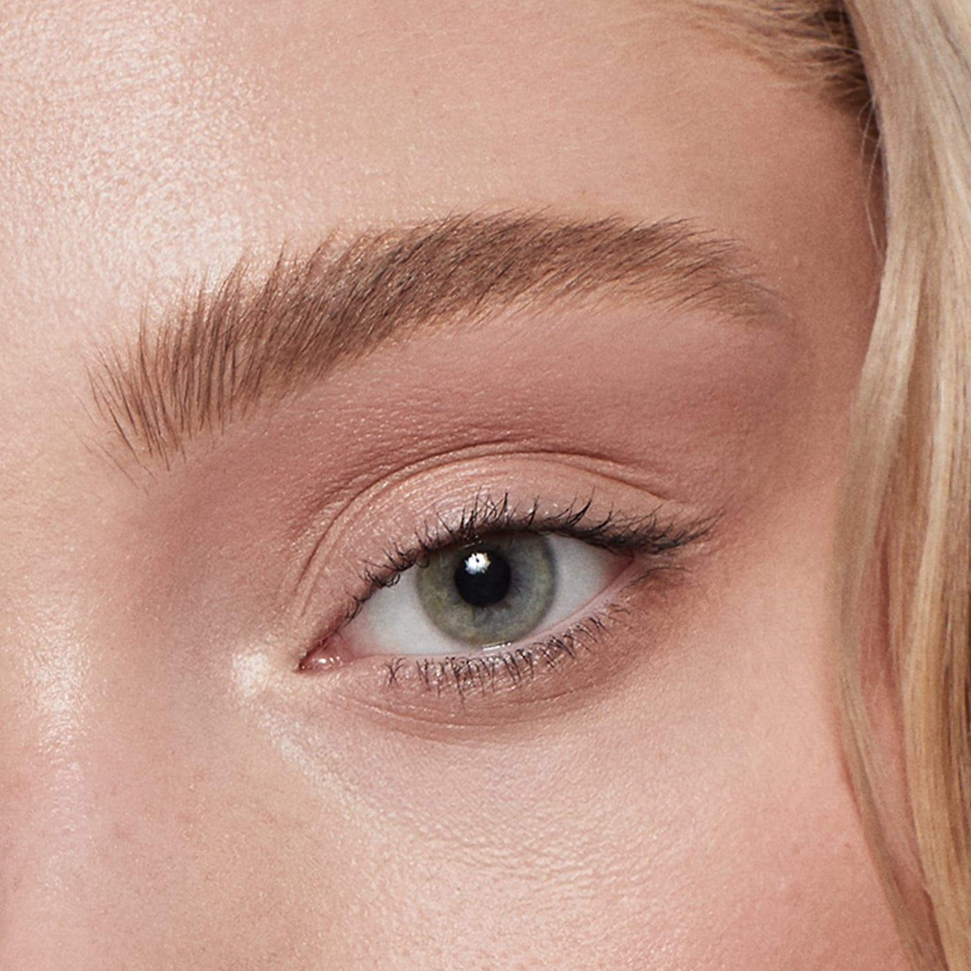 Air Brow Clear + Clean Lifting Treatment Eyebrow Gel | PREVENTA