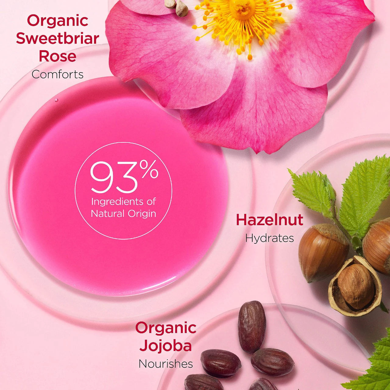 Lip Comfort Hydrating Oil | PREVENTA