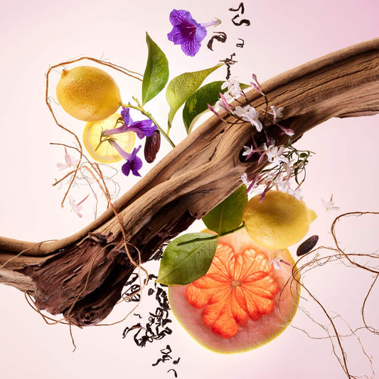 Mini Find Comfort Lotion & Fragrance Set | PREVENTA