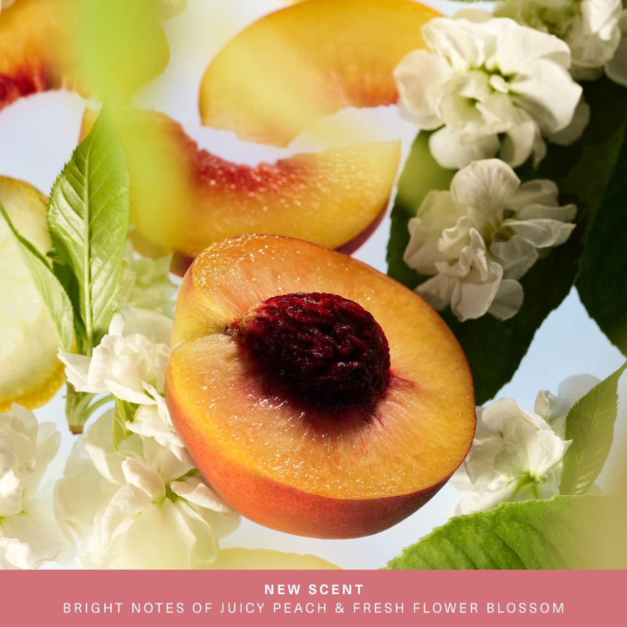 Find Comfort: Awaken Confidence Bouncy Body Cream with Hyaluronic Acid | PREVENTA