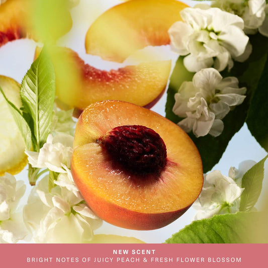 Find Comfort: Awaken Confidence Body & Hair Fragrance Mist with Niacinamide | PREVENTA