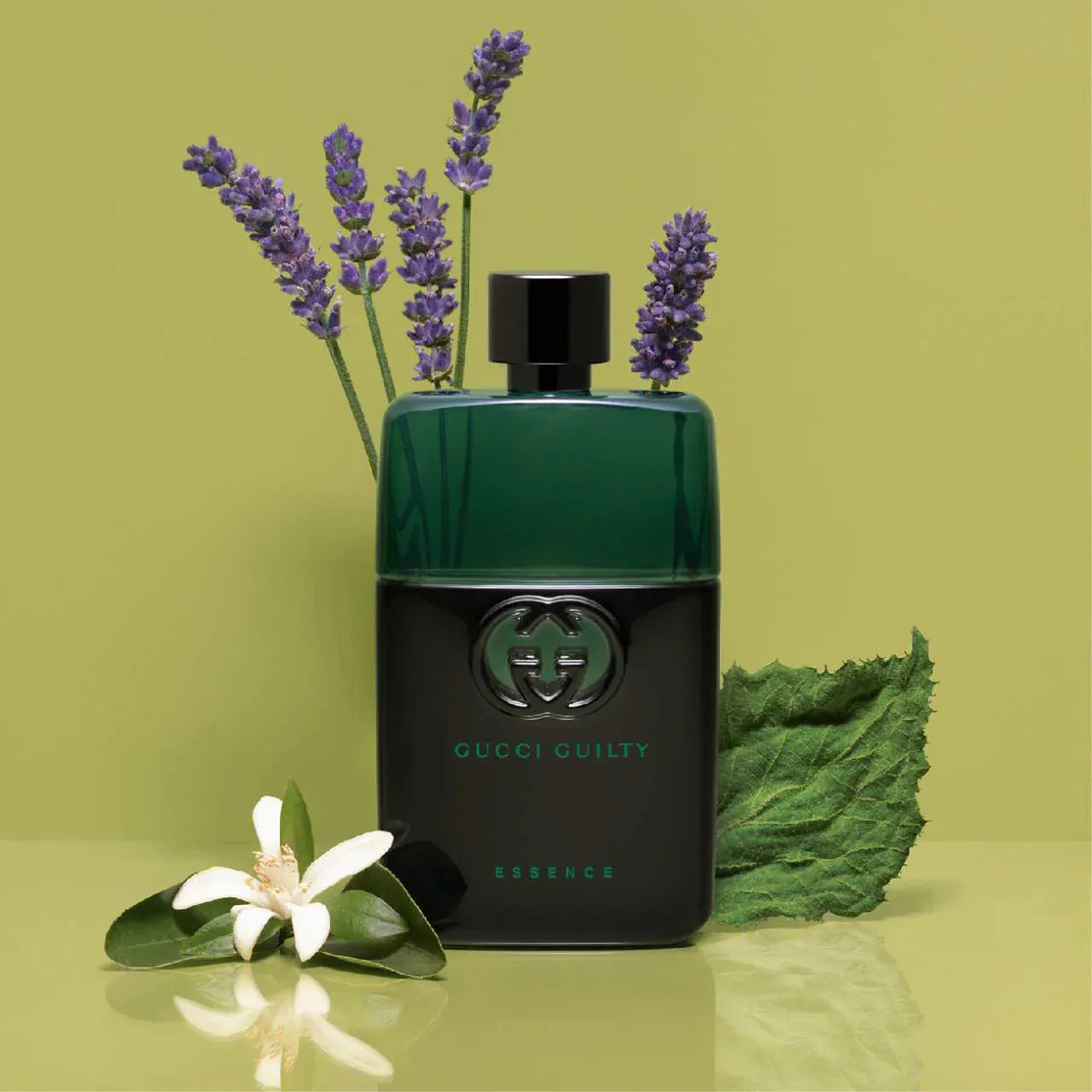 Cologne Sampler Set | PREVENTA