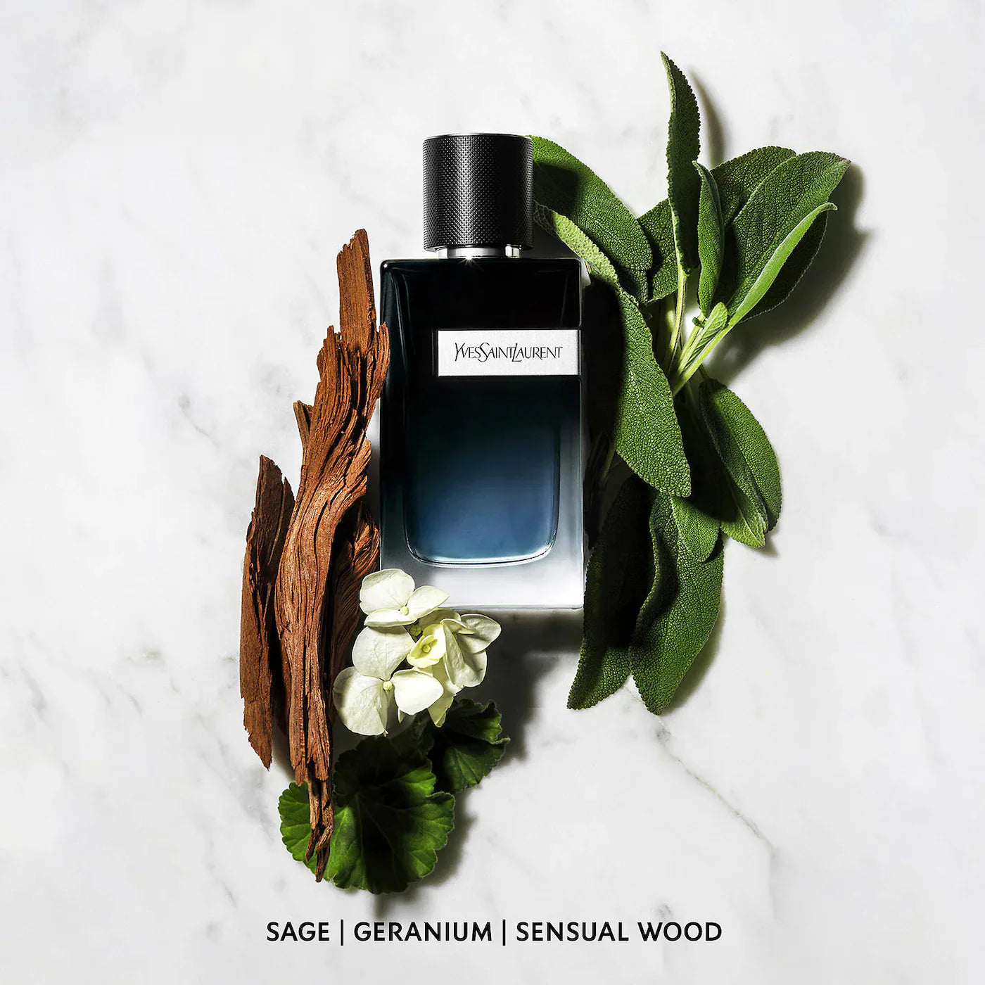 Cologne Sampler Set | PREVENTA