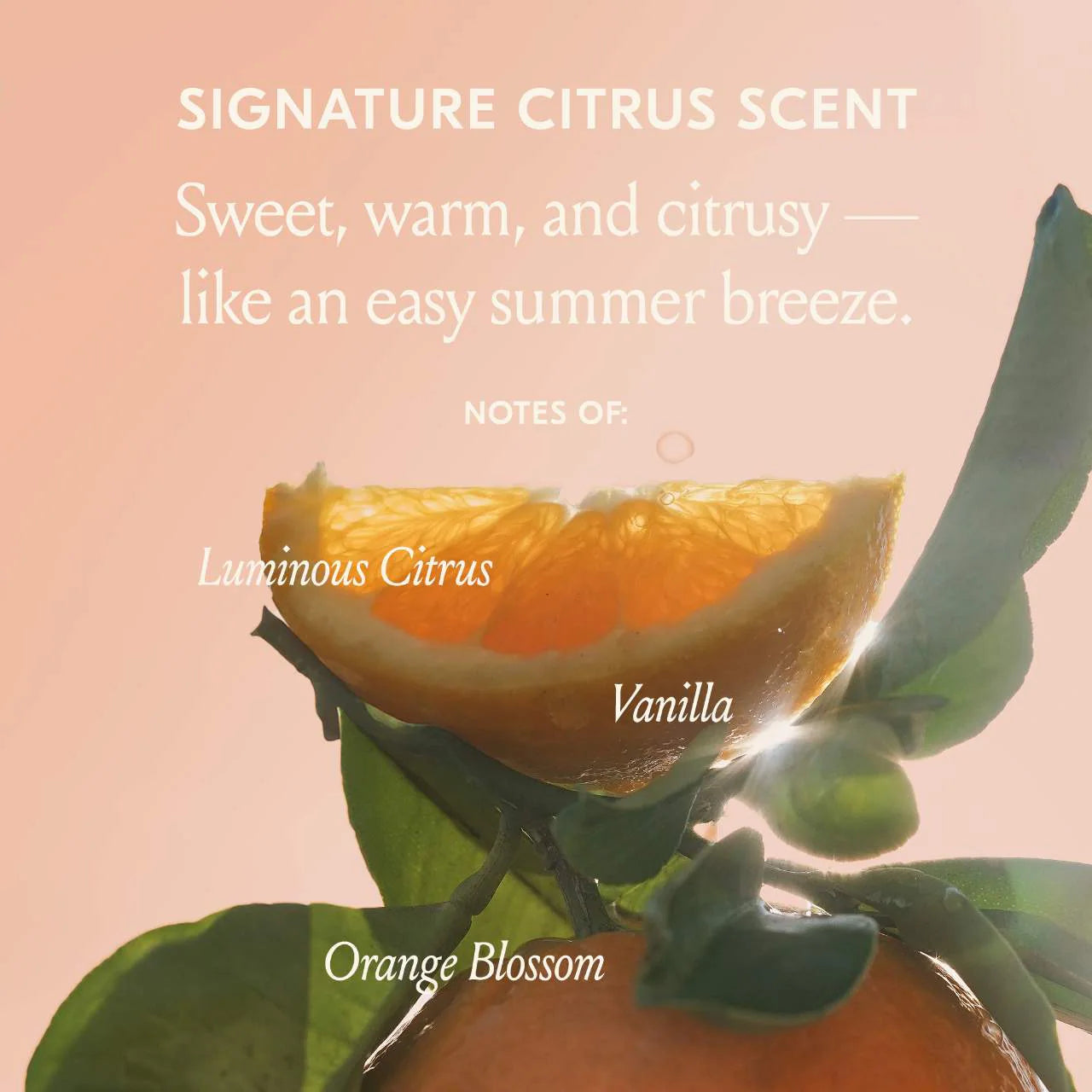 Freshly Squeezed Wash Set | PREVENTA