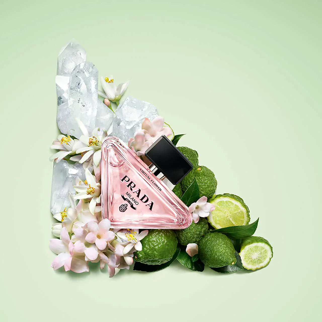 Mini Paradoxe Discovery Set | PREVENTA