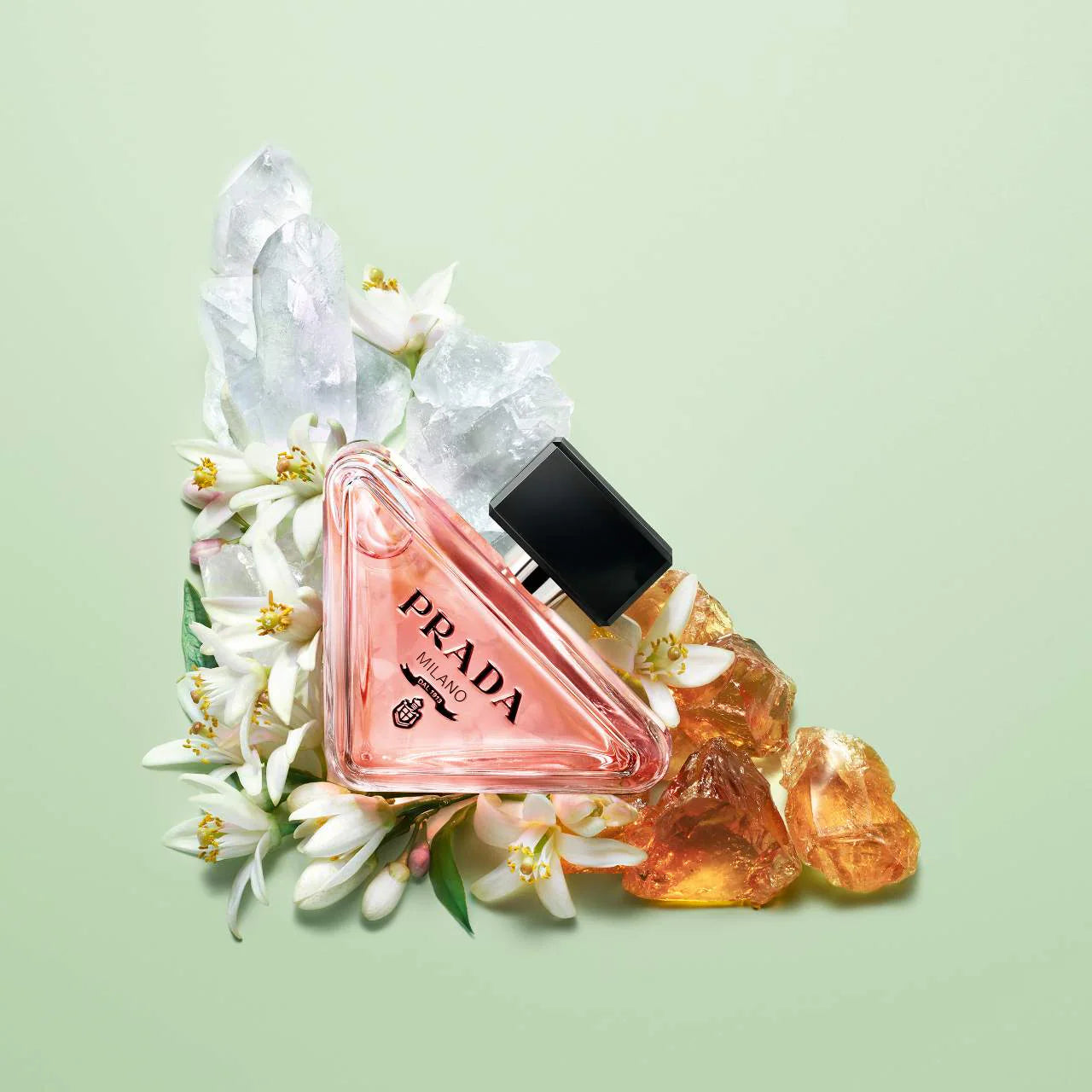 Mini Paradoxe Discovery Set | PREVENTA