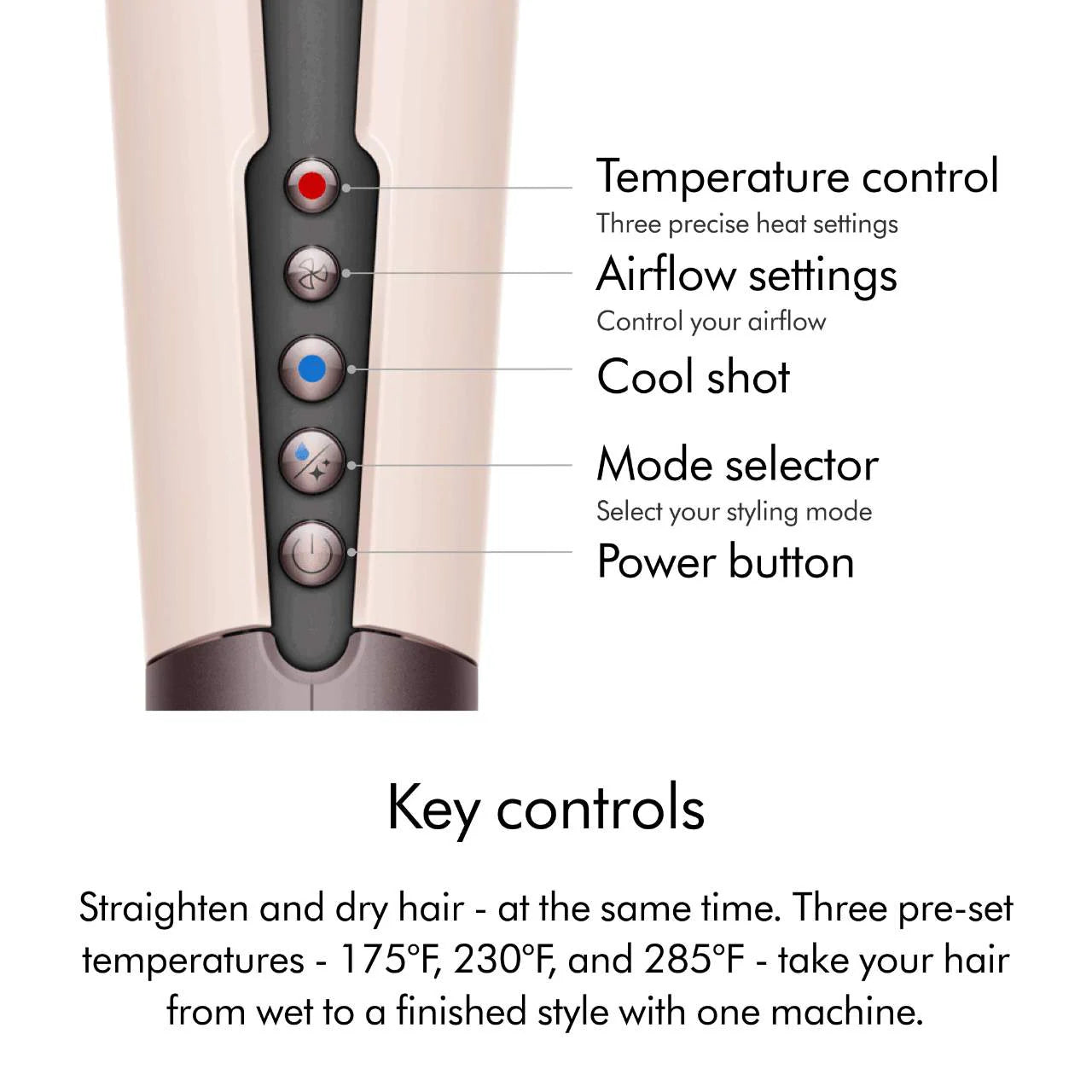 Limited Edition Airstrait™ Wet-to-Dry Straightener - Jasper Plum | PREVENTA