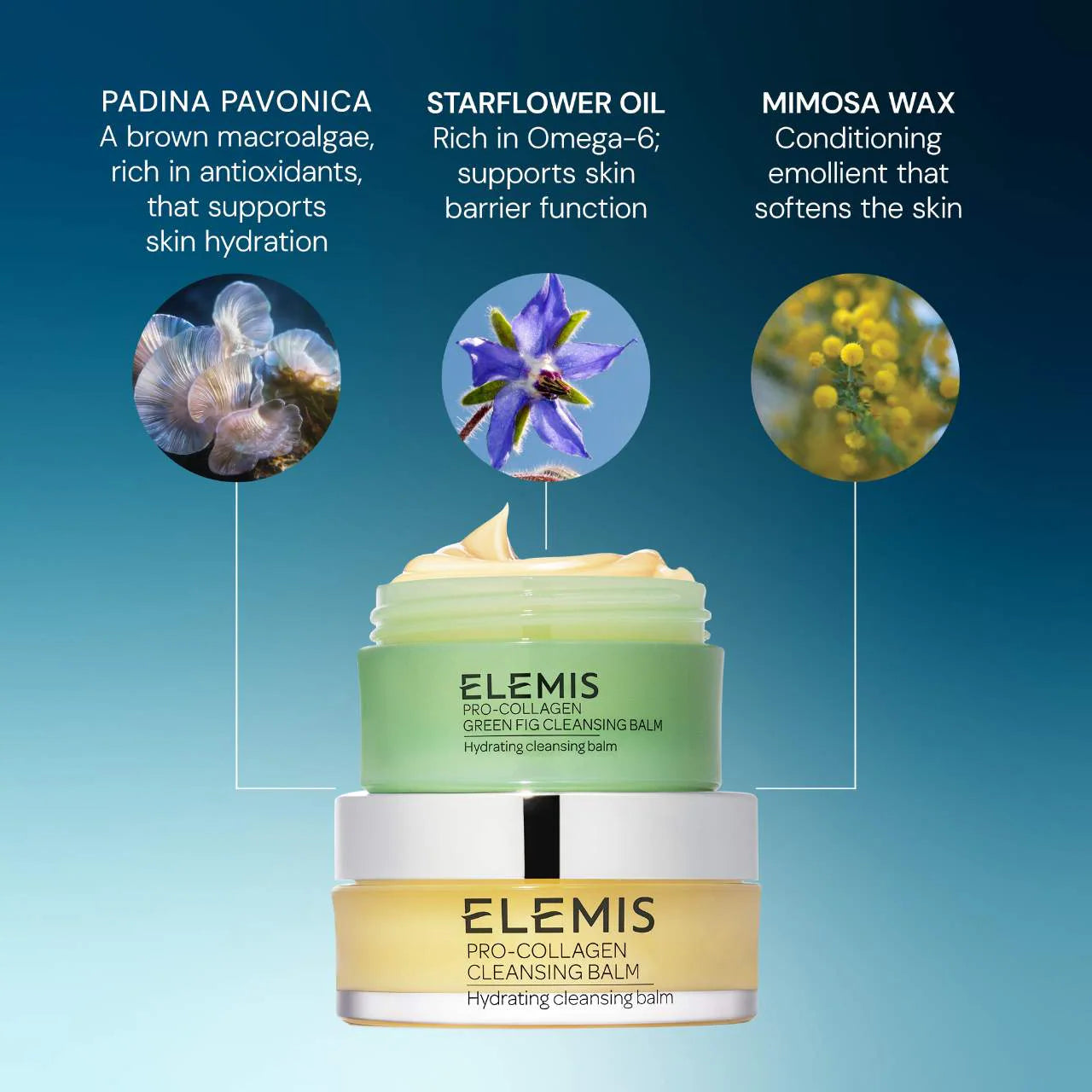 The Ultimate Cleansing Icons Set | PREVENTA