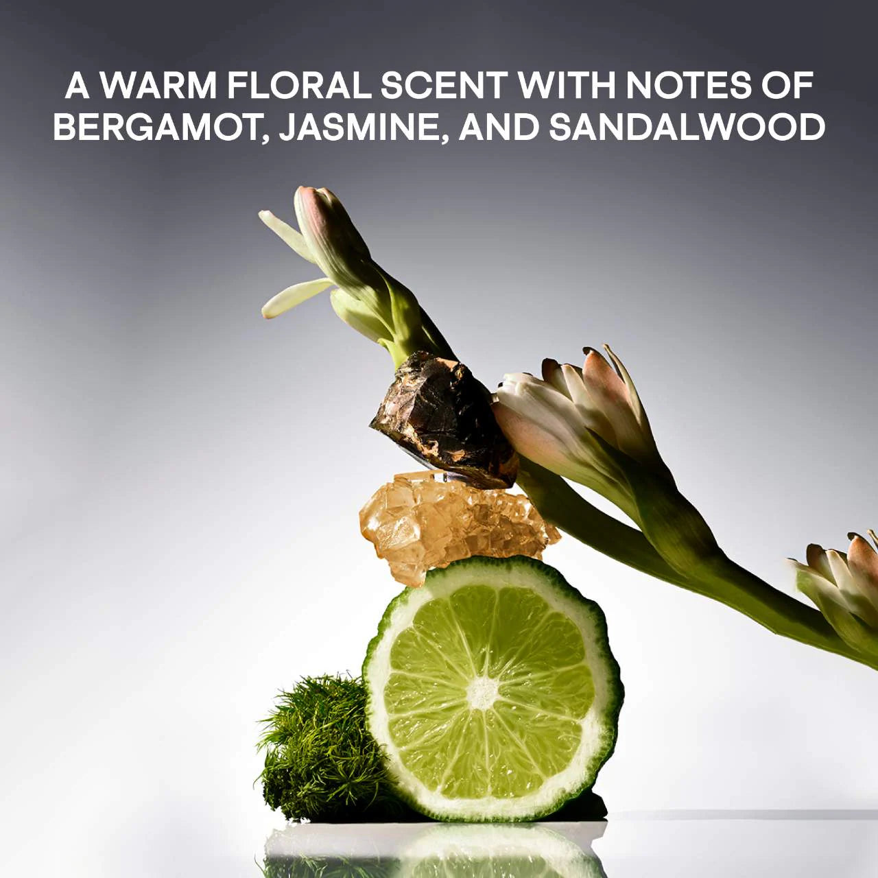 Major Glow High Shine Skin Perfecting Body Crème | PREVENTA