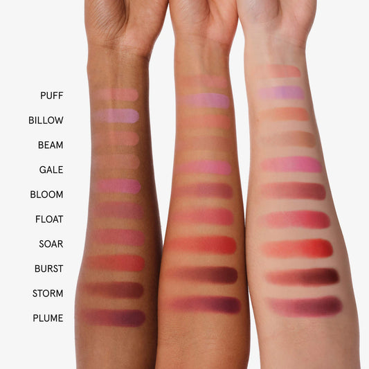 Cloud Paint Plush Blush | PREVENTA
