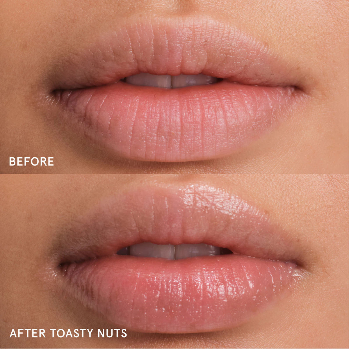 Balm Dotcom Lip Balm & Skin Salve - Toasty Nuts | PREVENTA
