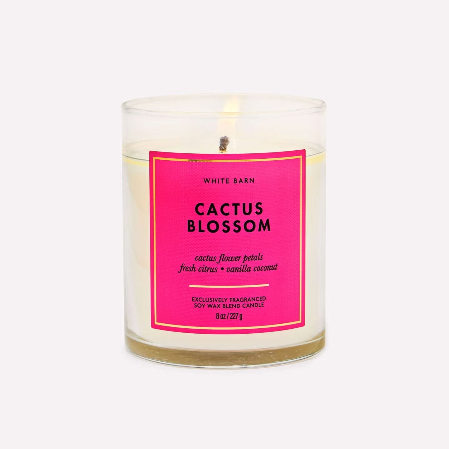Cactus Blossom Single Wick Candle
