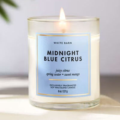 Midnight Blue Citrus Single Wick Candle