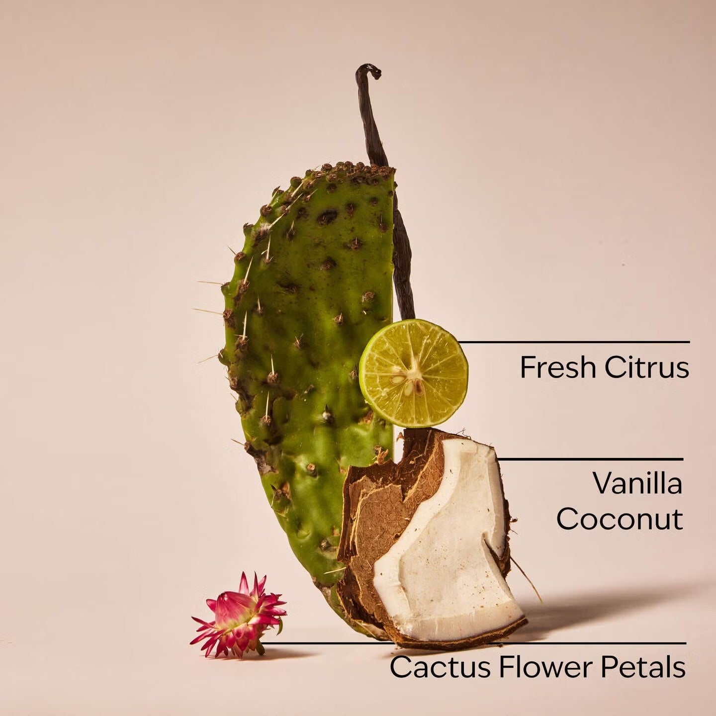 Cactus Blossom Car Fragrance Refill