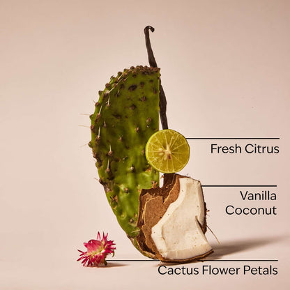 Cactus Blossom Car Fragrance Refill