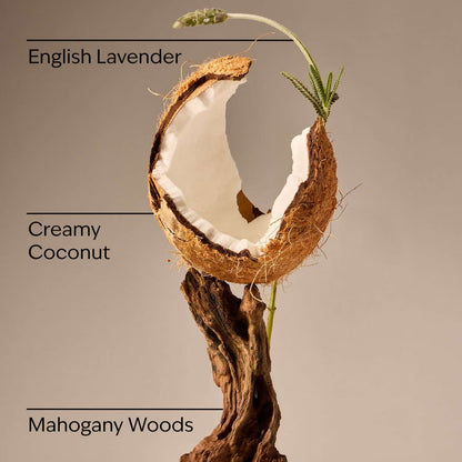 Mahogany Coconut Car Fragrance Refill