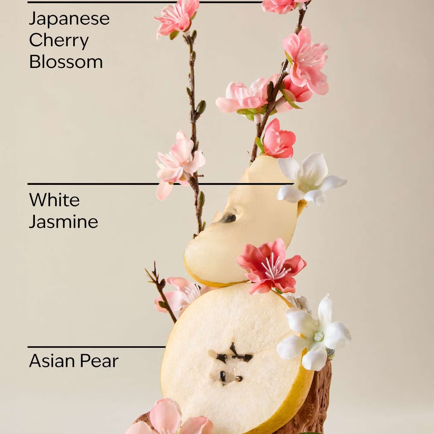 Japanese Cherry Blossom Single Wick Candle