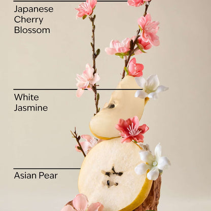 Japanese Cherry Blossom Single Wick Candle