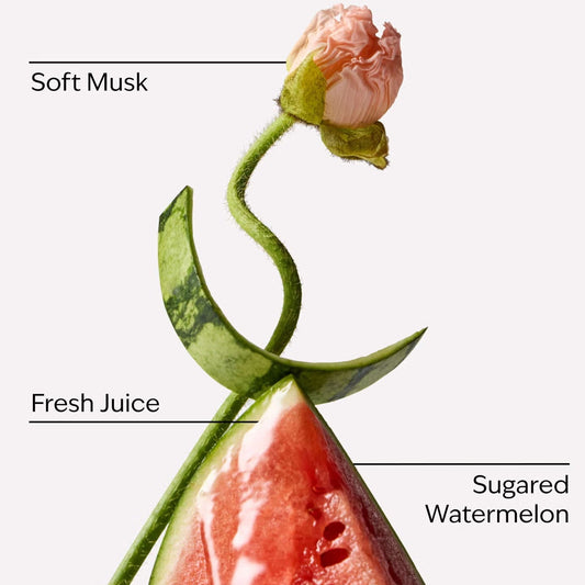 PocketSpray Hand Sanitizer - Watermelon Whirl