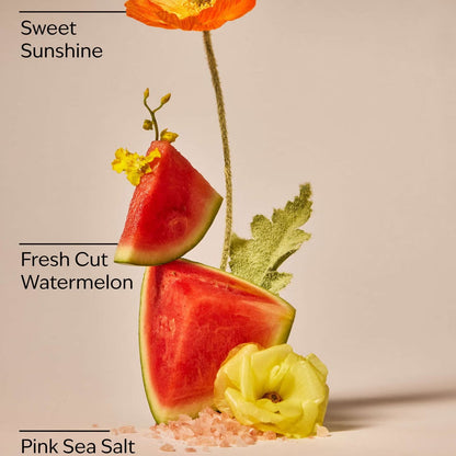 Fresh Watermelon Car Fragrance Refill