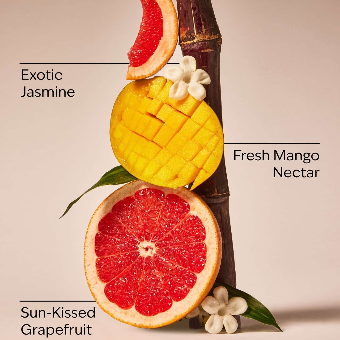 Mango Mai Tai Single Wick Candle