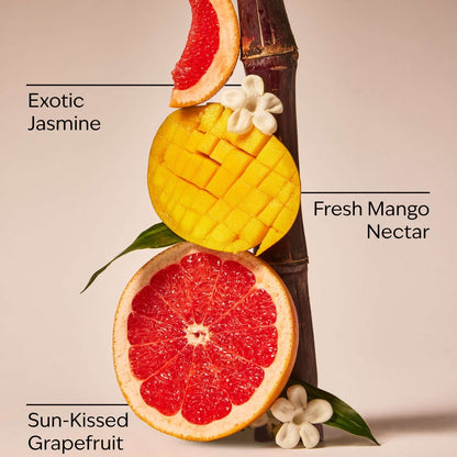 Mango Mai Tai Single Wick Candle