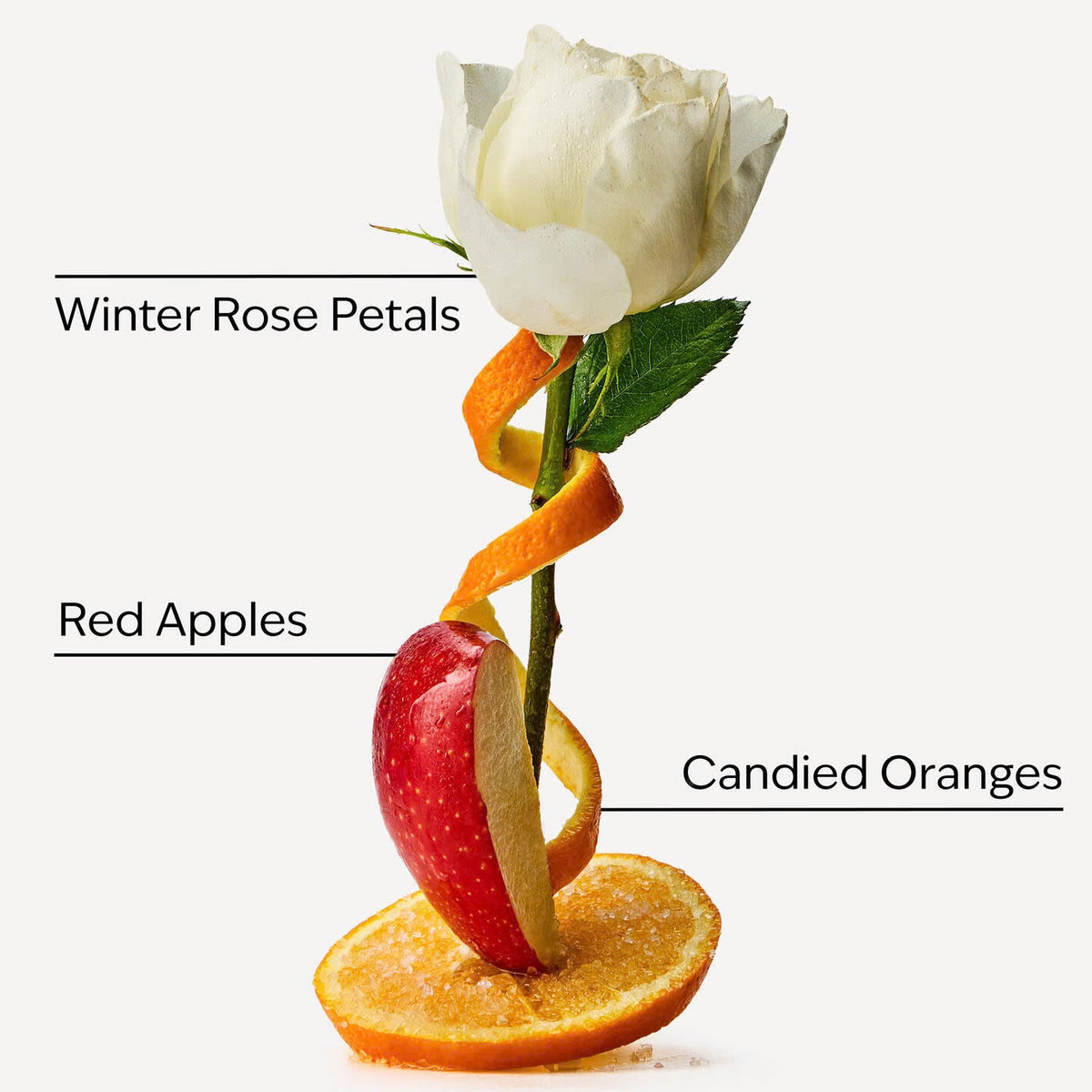 Winter Candy Apple Single Wick Candle