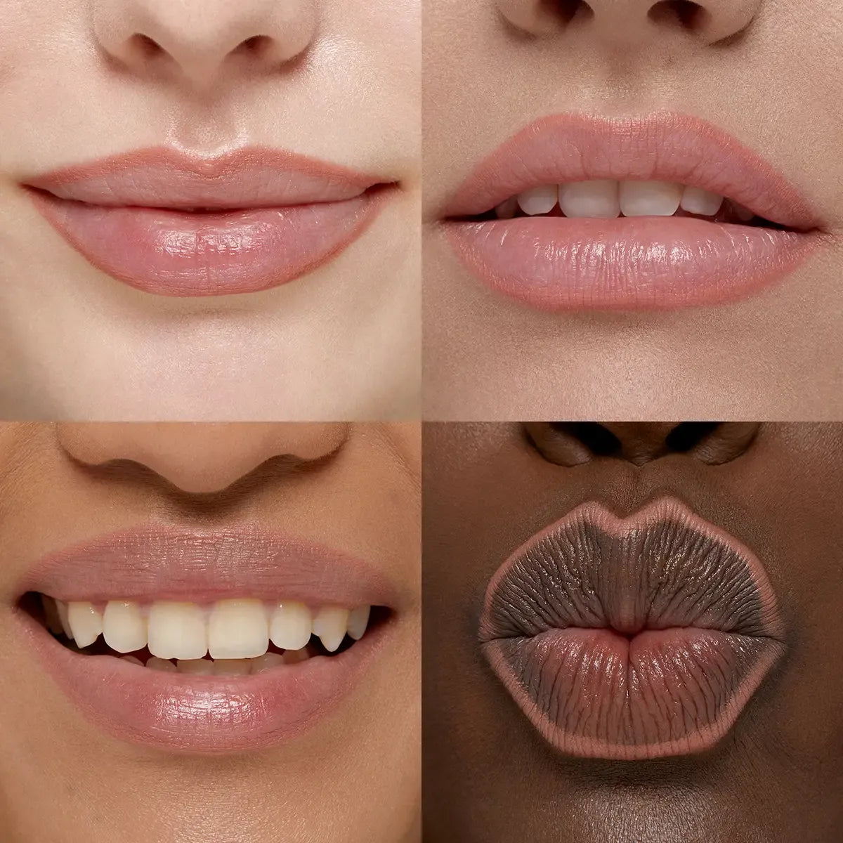 Smart Fusion Lip Pencil | PREVENTA