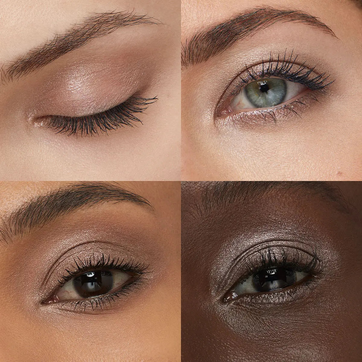 New Water Eyeshadow | PREVENTA