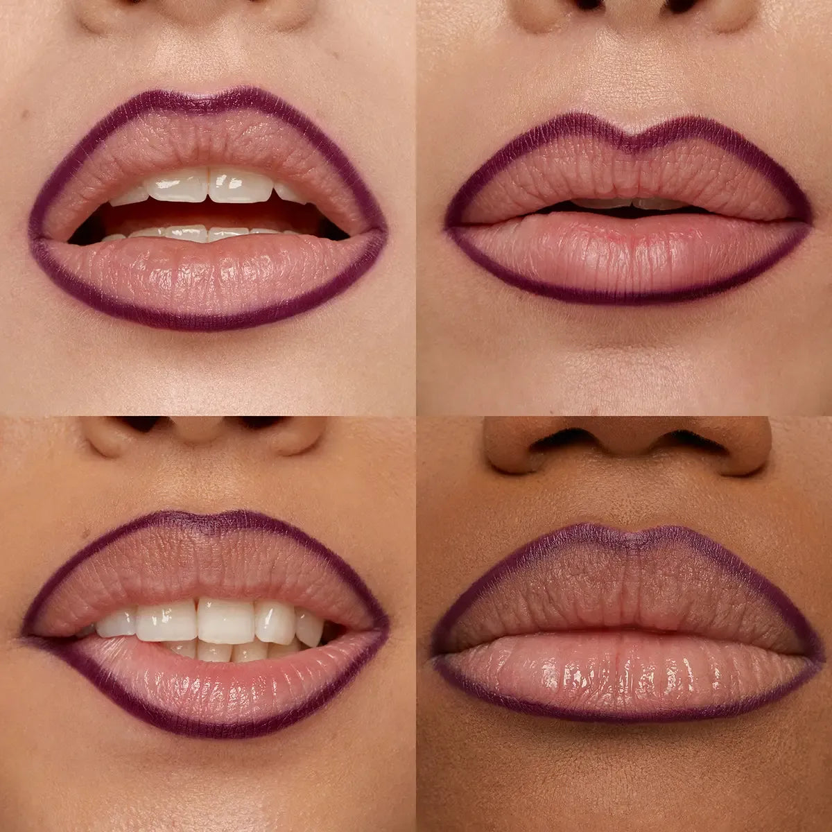 Smart Fusion Lip Pencil | PREVENTA