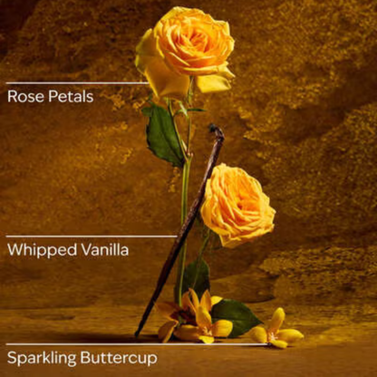 Belle 3-Wick Candle