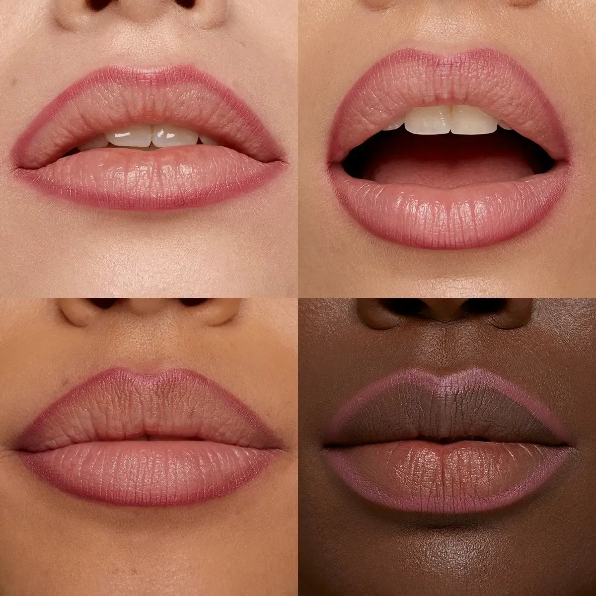 Smart Fusion Lip Pencil | PREVENTA