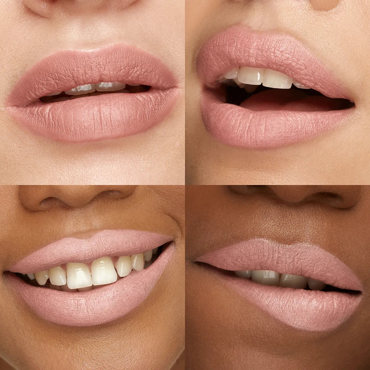 Velvet Passion Matte Lipstick | PREVENTA