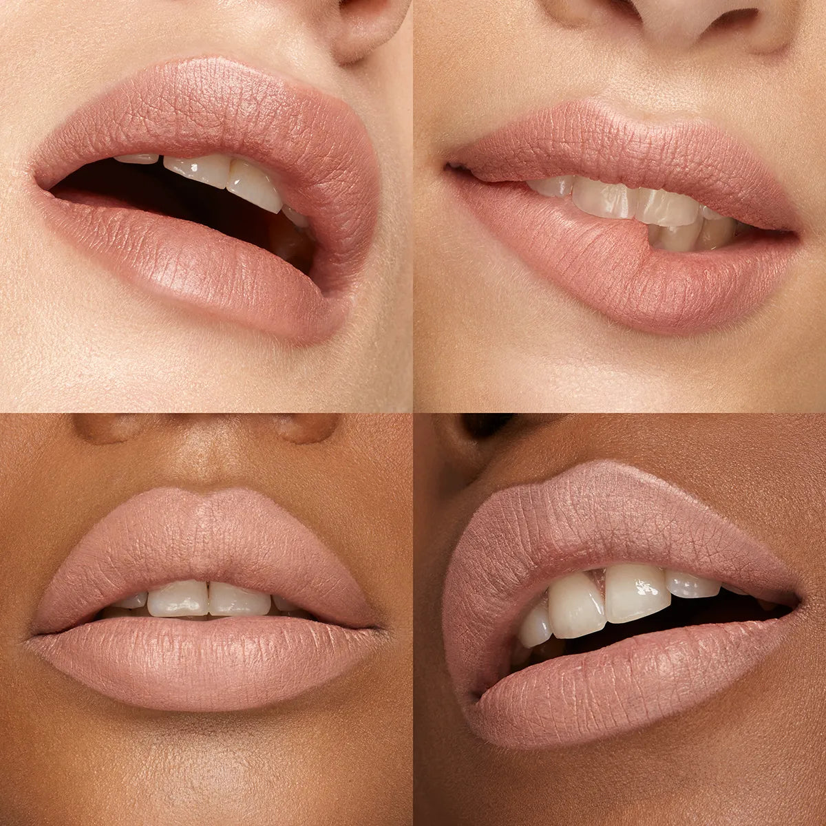 Velvet Passion Matte Lipstick | PREVENTA