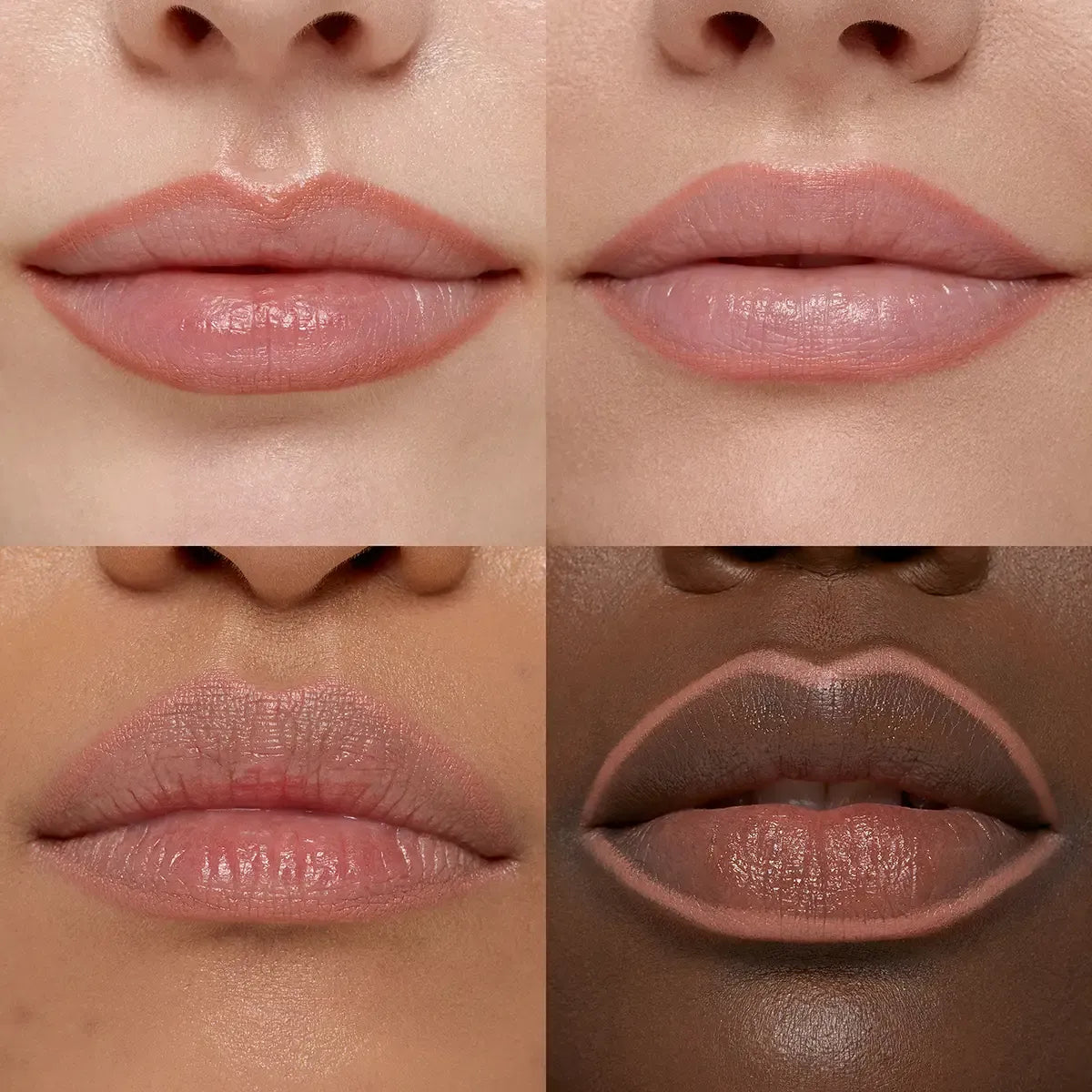 Smart Fusion Lip Pencil | PREVENTA