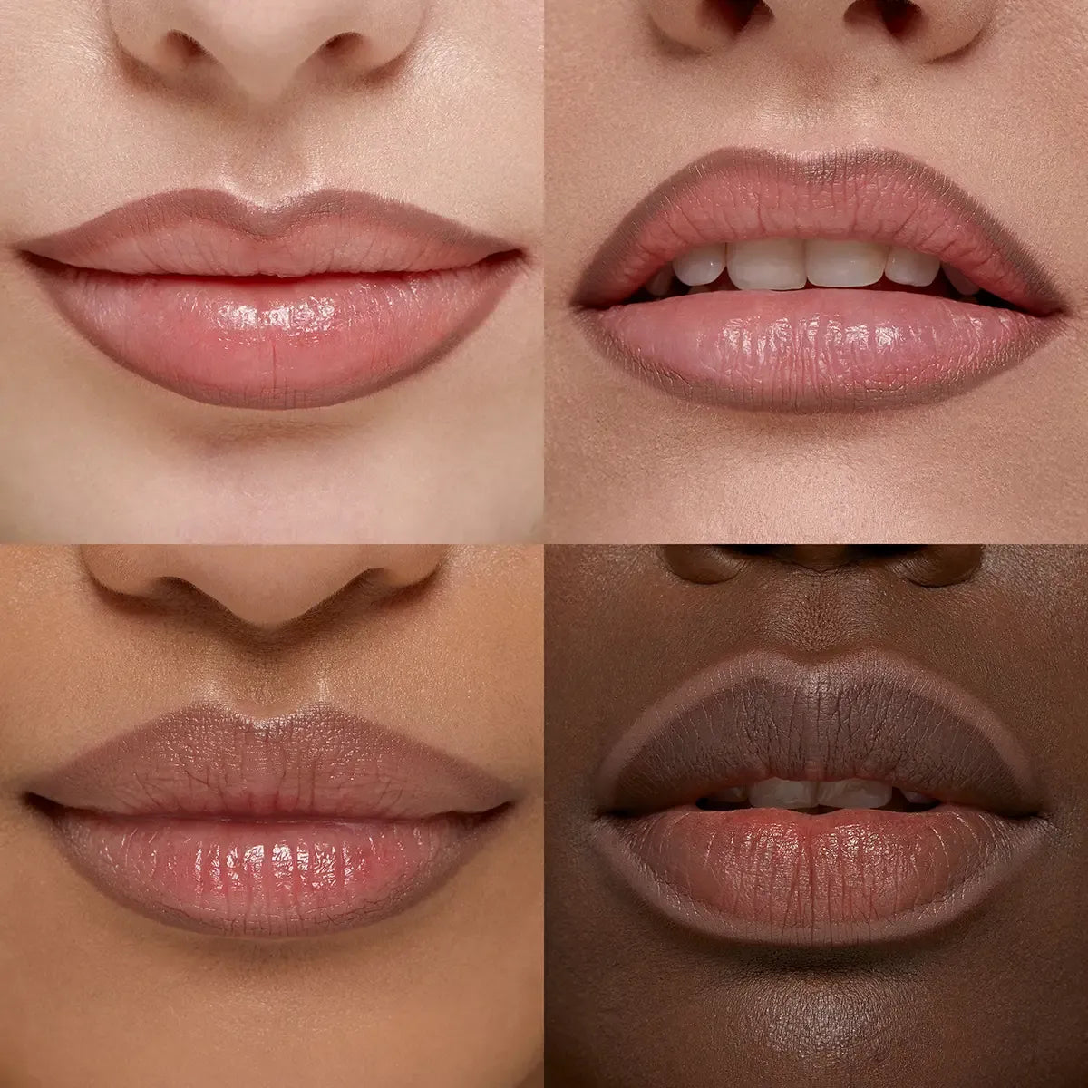 Smart Fusion Lip Pencil | PREVENTA