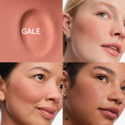 Cloud Paint Plush Blush | PREVENTA