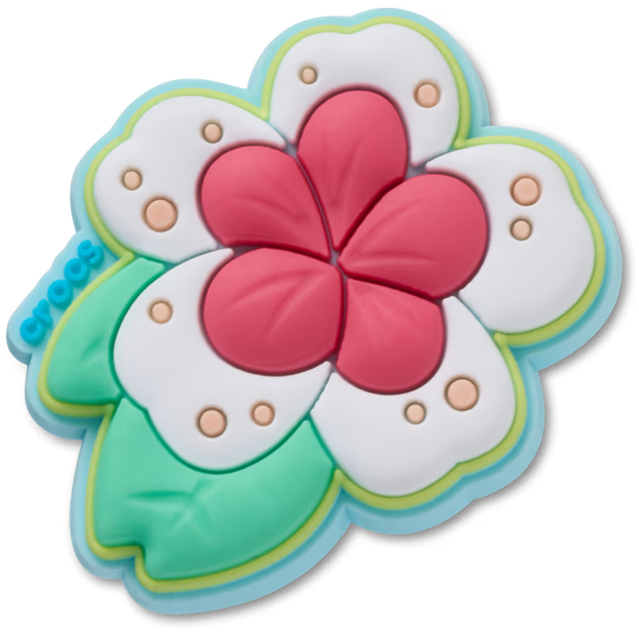 Jibbitz™ Charms
